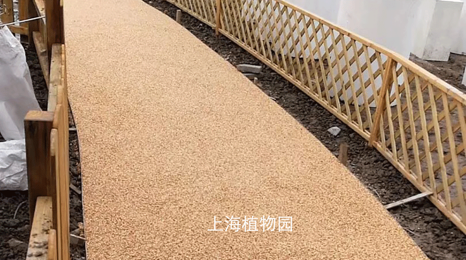 上海植物园胶粘石透水路面如期竣工