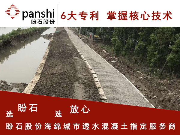 上海闵行区北沙港一期建设河道两侧透水混凝土道路工程4